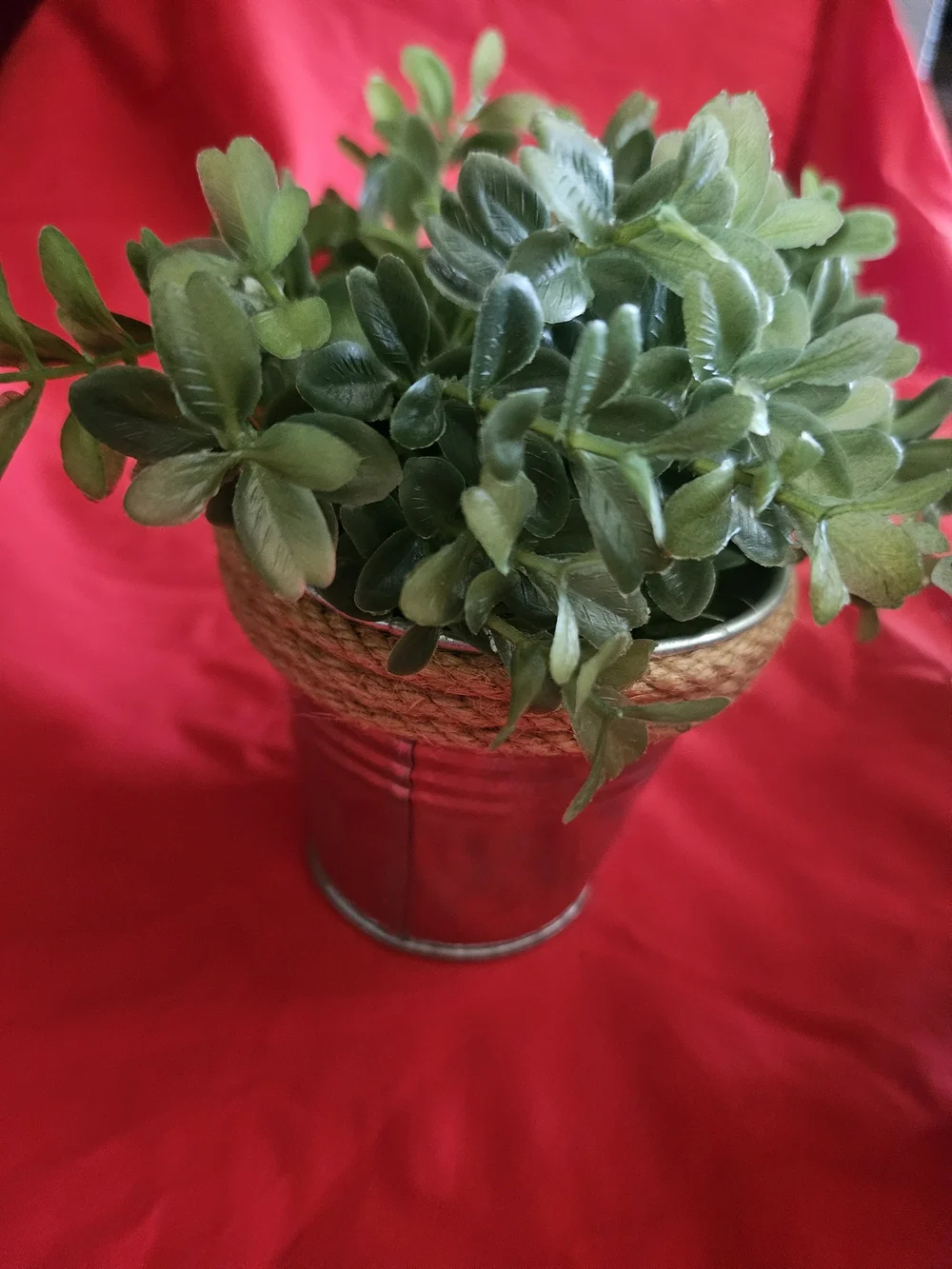 Hobby Lobby Green Faux Boxwood in Twine-Trimmed Silver Buckets
